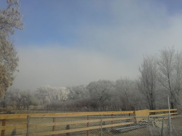 Cold Snap